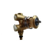 carcare24.eu A70133 optima steamer feedwater pump mo204v
